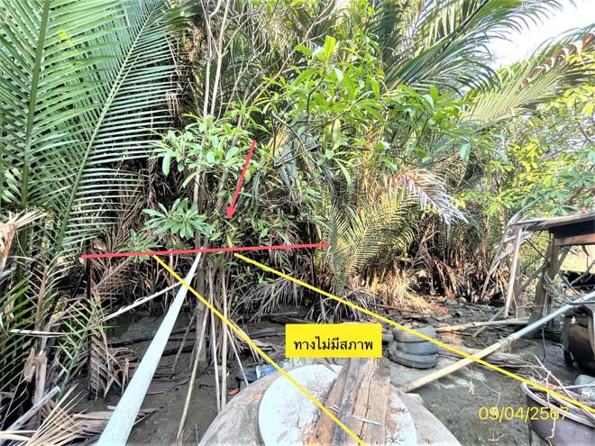 บางหญ้าแพรก เมืองสมุทรสาคร สมุทรสาคร